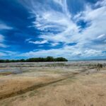 listing image thumbnail with ID 104174