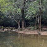 listing image thumbnail with ID 100904