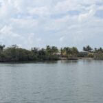 listing image thumbnail with ID 79337