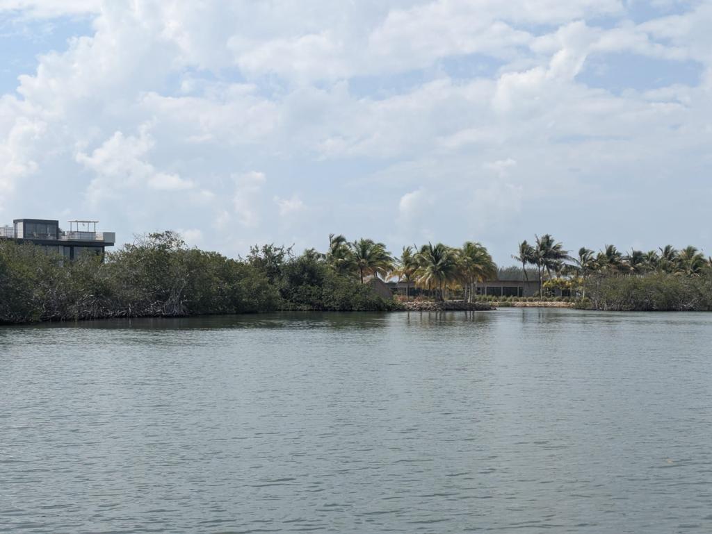 listing image with ID 79337