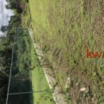 listing image thumbnail with ID 85929