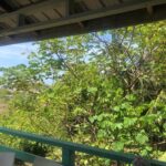 listing image thumbnail with ID 77891