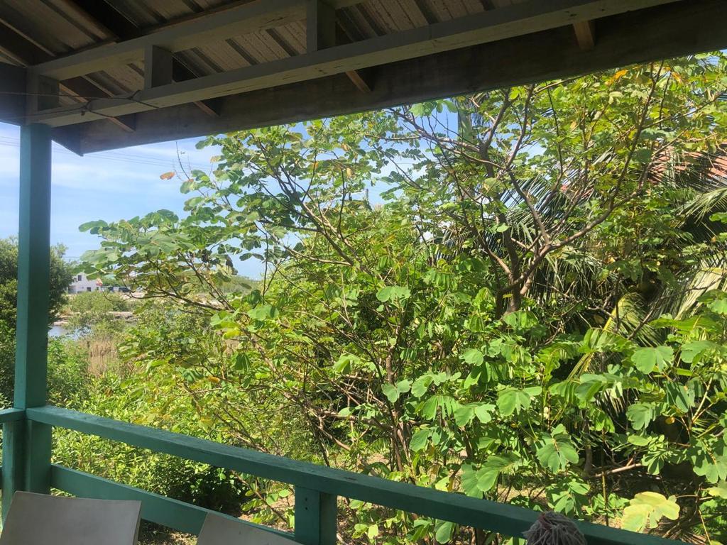listing image with ID 77891