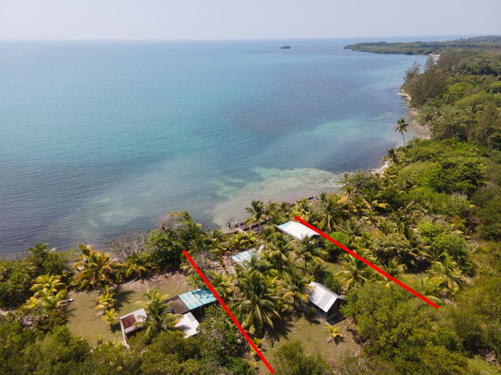 listing image with ID 102736