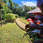 listing image thumbnail with ID 106511