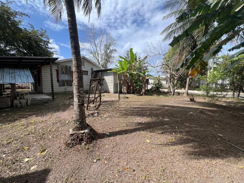 listing image with ID 99407
