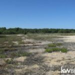 listing image thumbnail with ID 75678