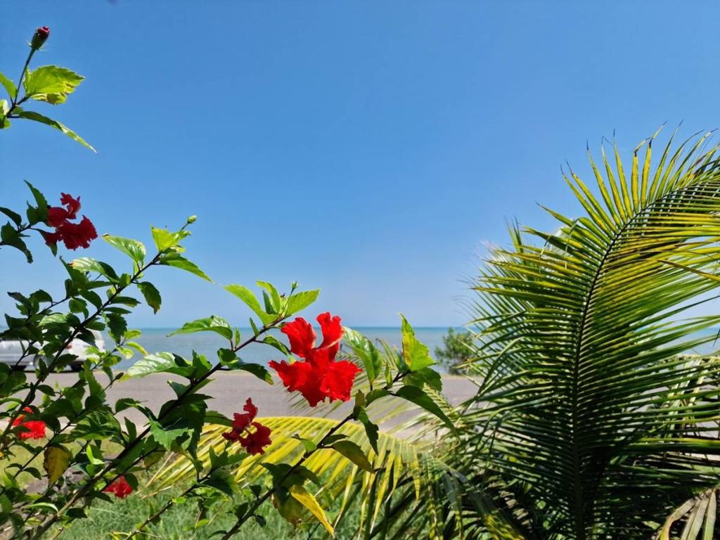 listing image with ID 80341