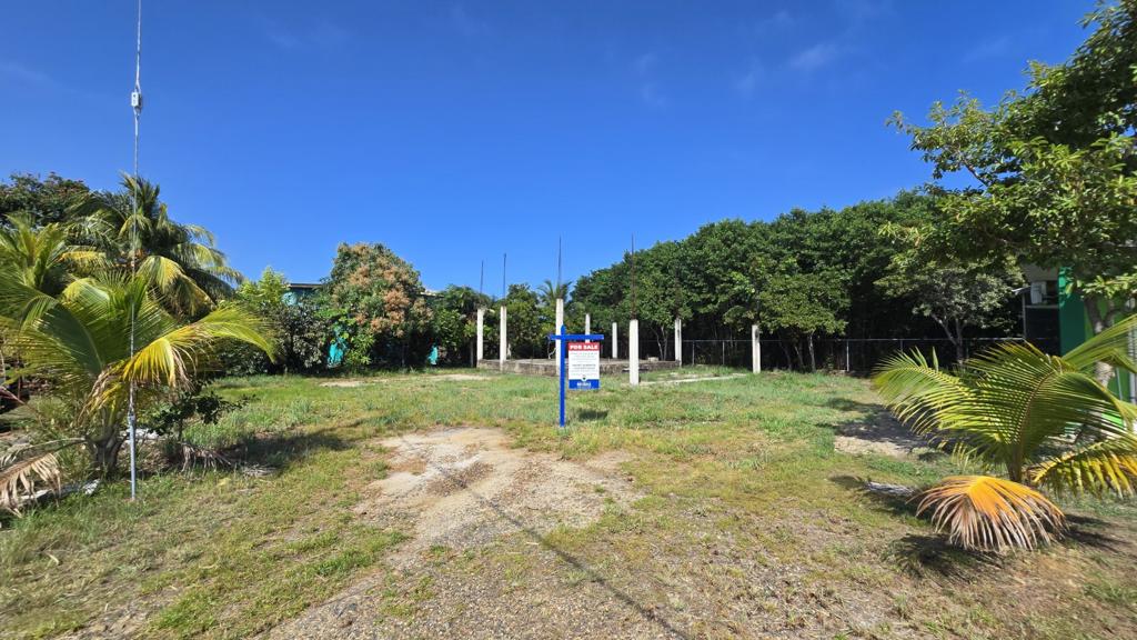 listing image with ID 99999