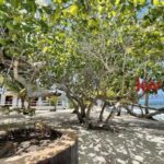 listing image thumbnail with ID 97875