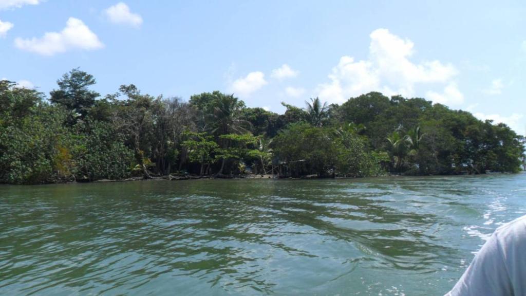 listing image with ID 82823