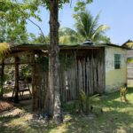 listing image thumbnail with ID 75591