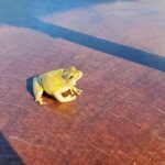 listing image thumbnail with ID 106289