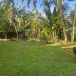 listing image thumbnail with ID 97993