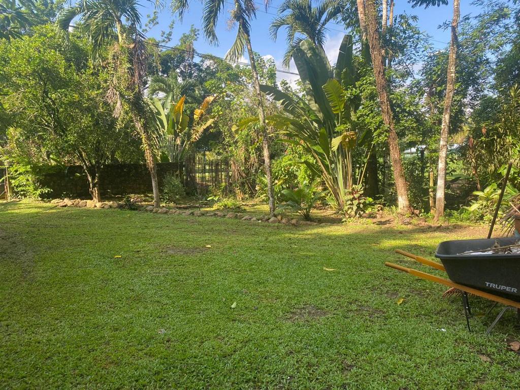 listing image with ID 97993