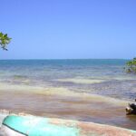 listing image thumbnail with ID 97197