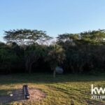 listing image thumbnail with ID 103261