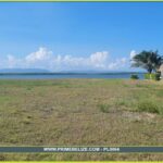 listing image thumbnail with ID 83346