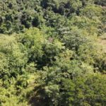 listing image thumbnail with ID 77441