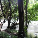listing image thumbnail with ID 92466