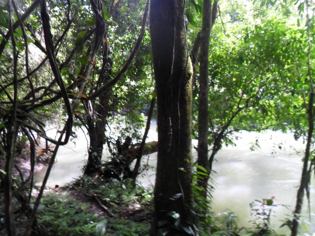 listing image with ID 92466