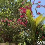 listing image thumbnail with ID 108841
