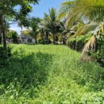 listing image thumbnail with ID 103544
