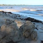 listing image thumbnail with ID 93055
