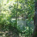 listing image thumbnail with ID 98957