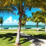 listing image thumbnail with ID 77223