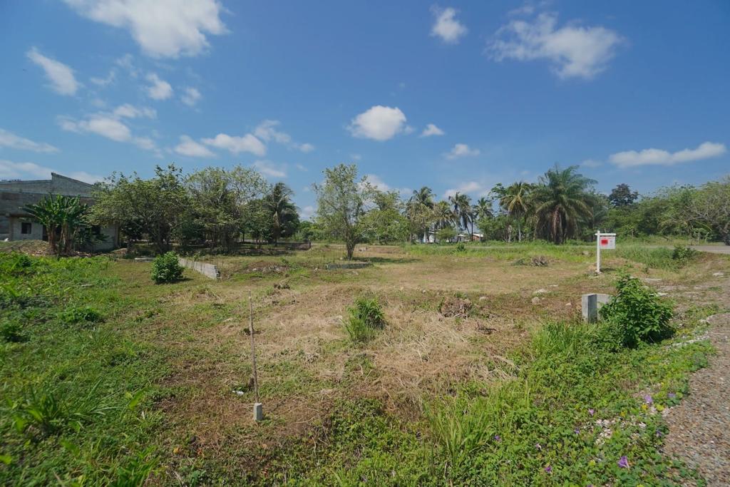 listing image with ID 84458