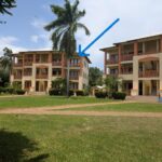 listing image thumbnail with ID 96766
