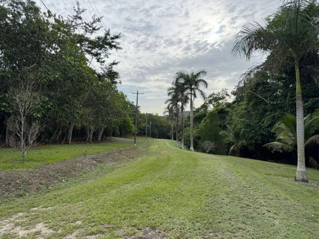 listing image with ID 92940