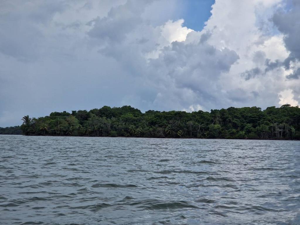 listing image with ID 76059