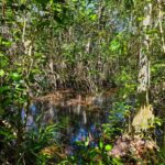 listing image thumbnail with ID 76095