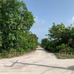 listing image thumbnail with ID 97418
