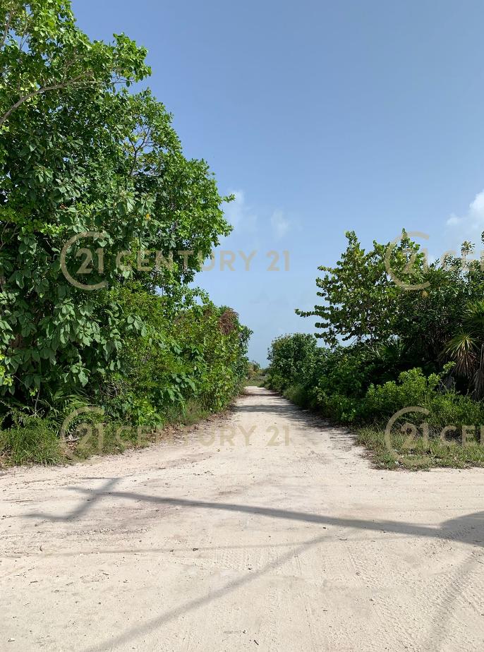 listing image with ID 97418