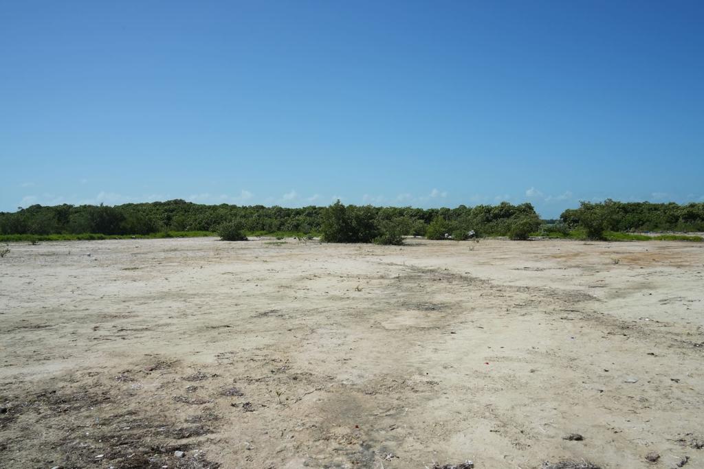 listing image with ID 88518