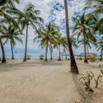listing image thumbnail with ID 107329