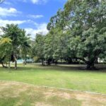 listing image thumbnail with ID 98025