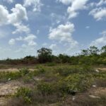 listing image thumbnail with ID 106161