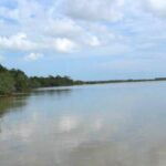 listing image thumbnail with ID 90729