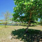 listing image thumbnail with ID 109048