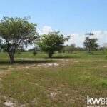 listing image thumbnail with ID 75671