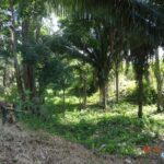 listing image thumbnail with ID 84056