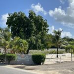 listing image thumbnail with ID 100553