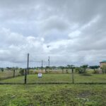 listing image thumbnail with ID 105727
