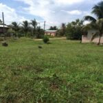 listing image thumbnail with ID 100157