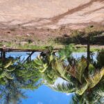 listing image thumbnail with ID 94698