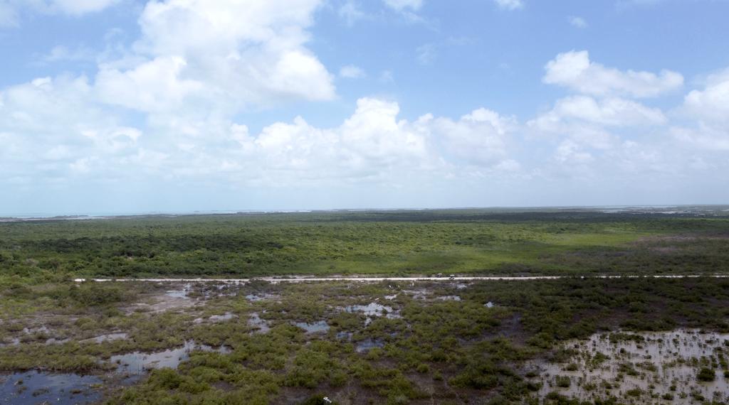 listing image with ID 108557